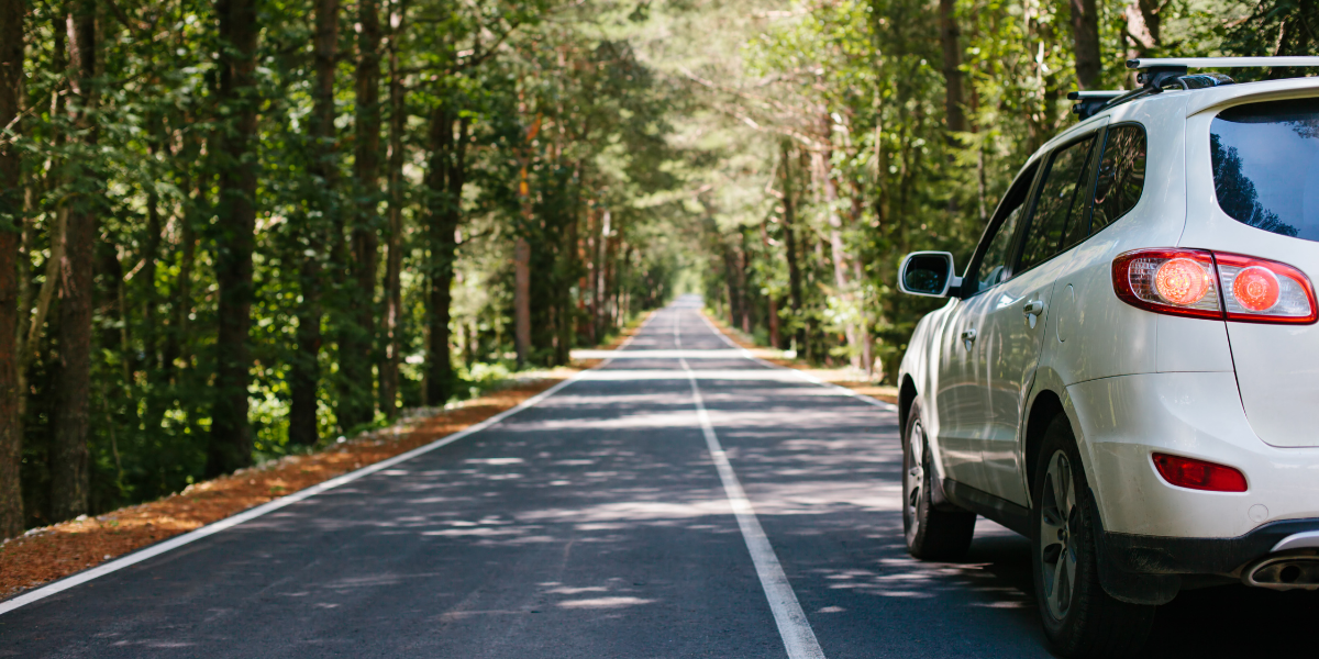 car-driving-down-wooded-road car driving down wooded road