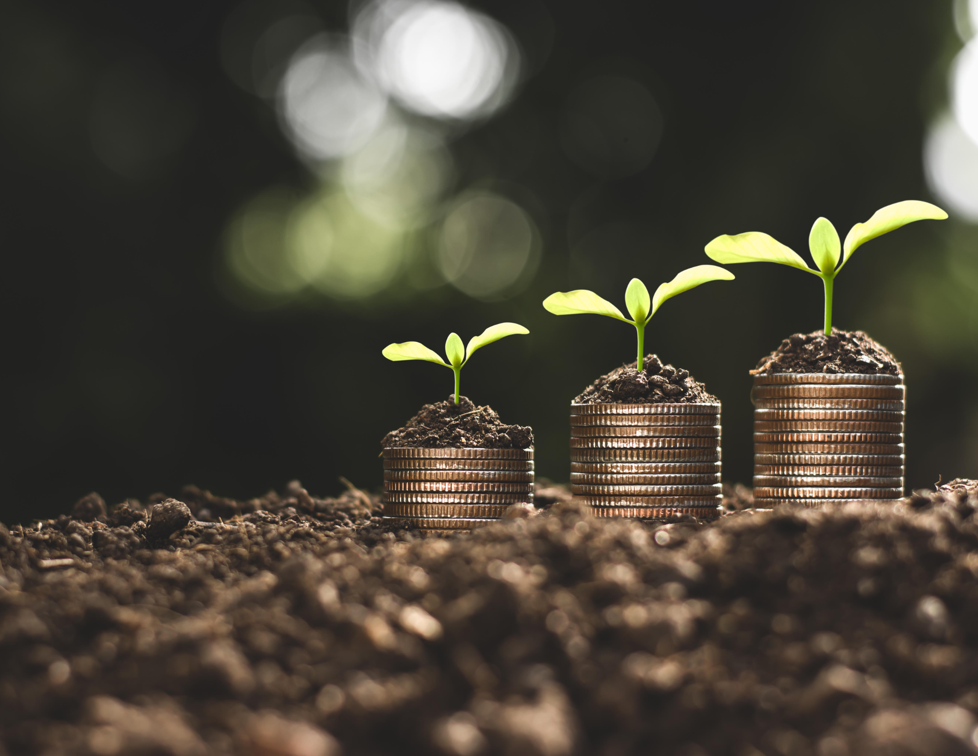 Video Materials (19) Get Help with our debt management services