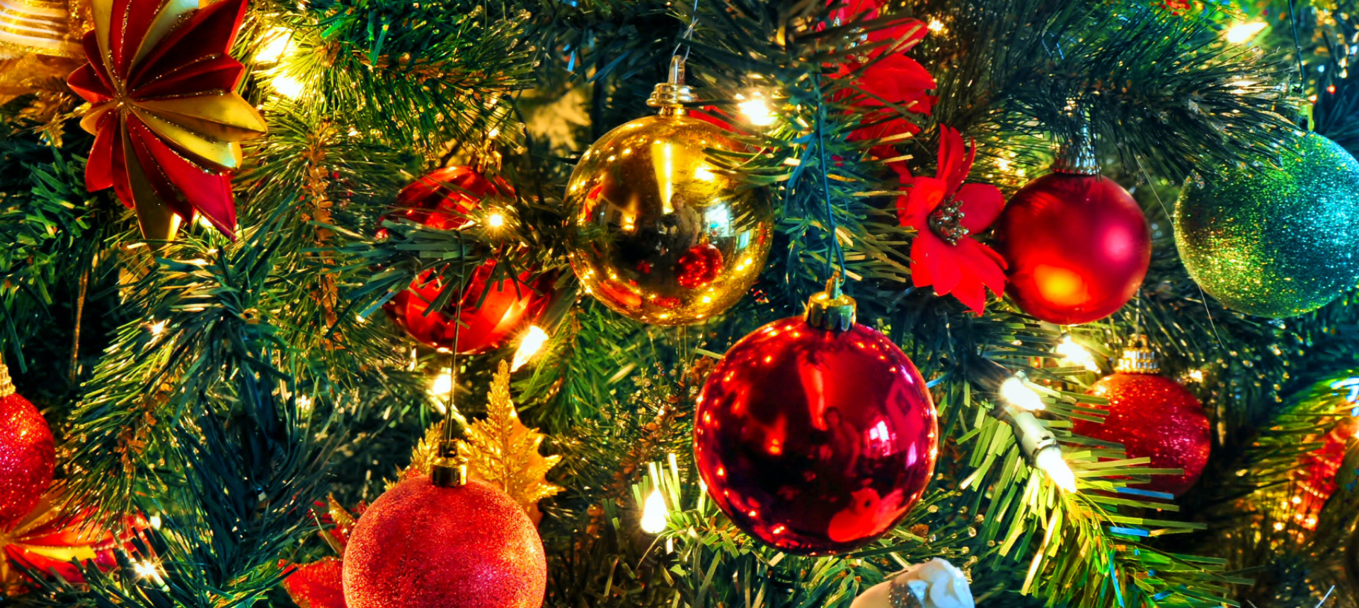 Web Banner 2 text 47