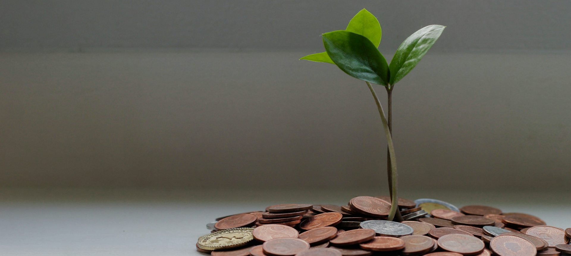 Web Banner 2 text 46