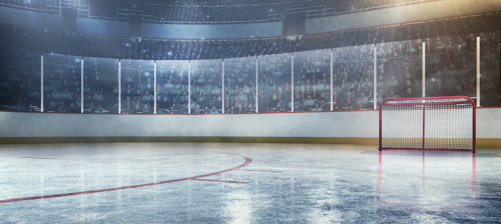 Web Banner 2 text 52